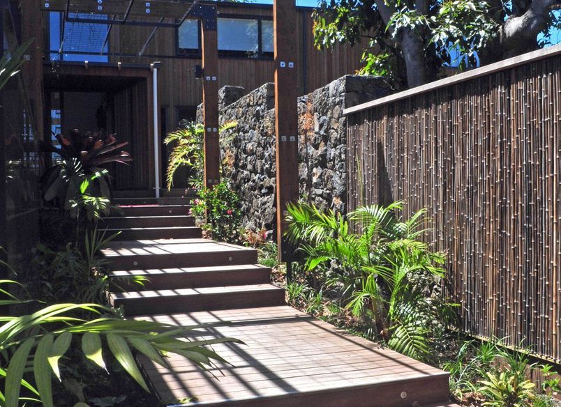 Mt Eden Garden