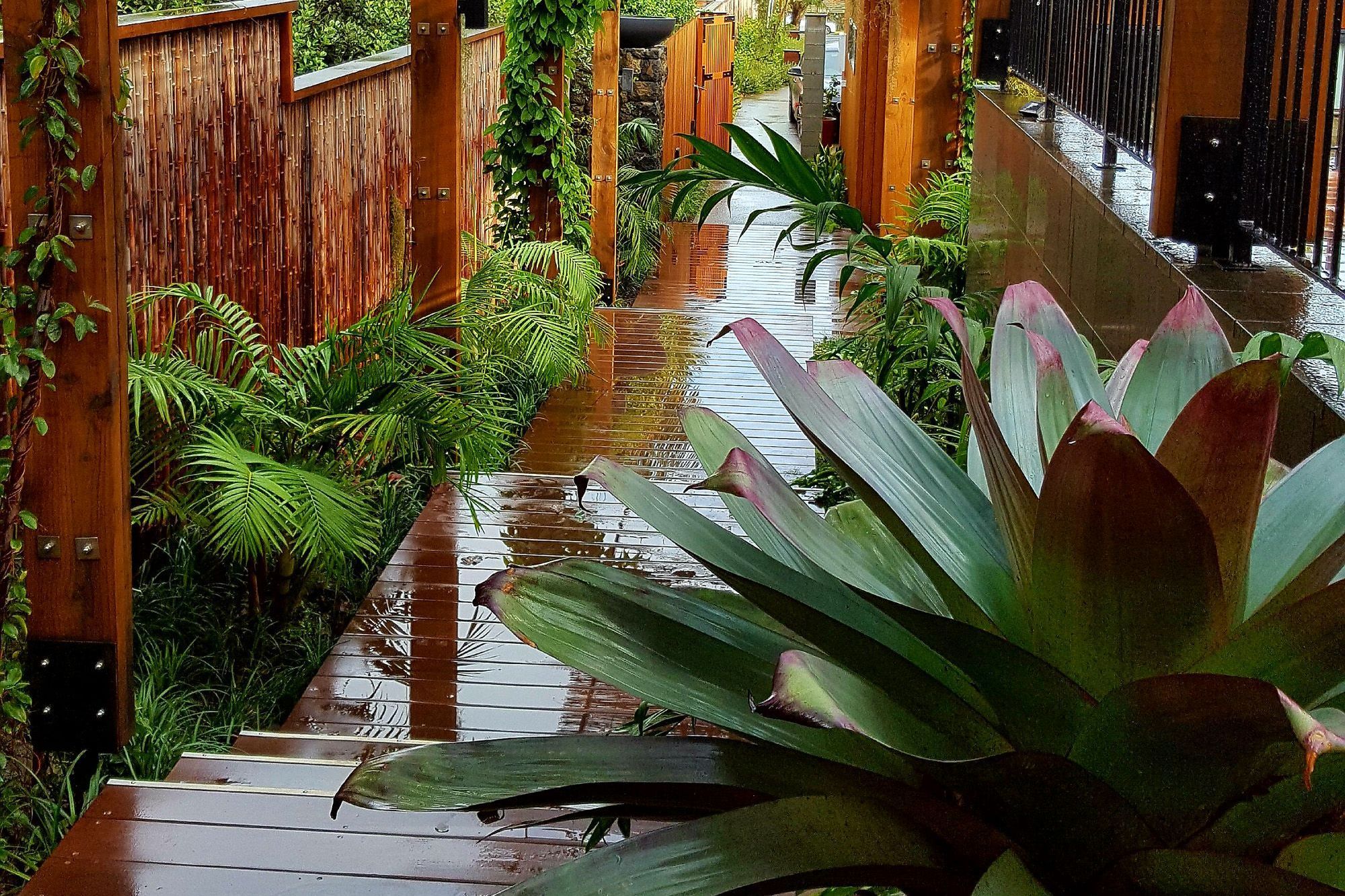 Sub-tropical planting thrives in the sheletered space between buildings
