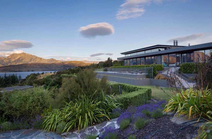 The Dasha | Eliska Lewis Architect