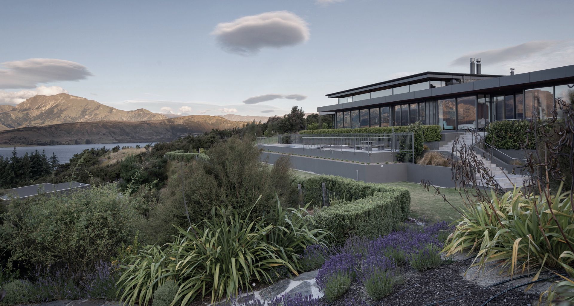 The Dasha | Eliska Lewis Architect banner