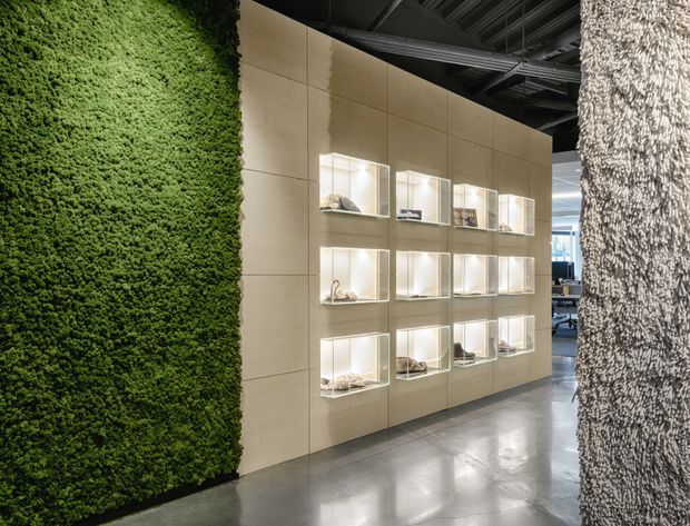 Contemporary commercial interior featuring a large preserved green living wall, a pale beige tiled or paneled display wall with illuminated recessed niches, polished concrete flooring, and exposed dark services overhead. A textured sculptural column frames the right side, with office or showroom space visible beyond.