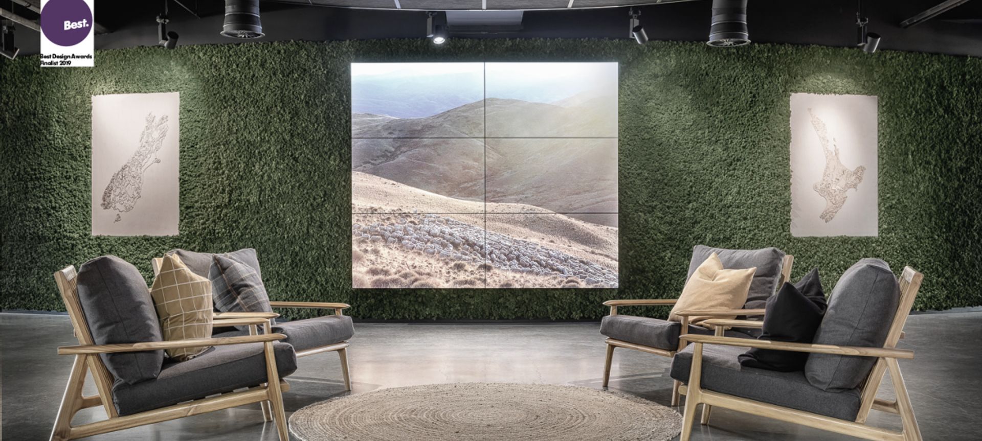 NZ Merino banner