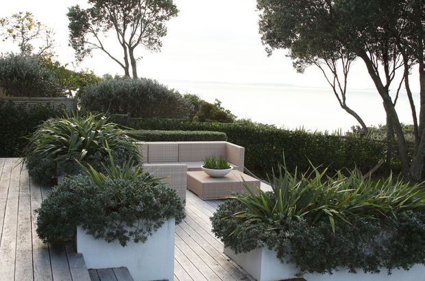 A landscaped outdoor deck or terrace overlooking a bright coastal or waterfront horizon. The space features pale timber decking, large white rectangular planters filled with sculptural grasses and shrubs, clipped hedging, mature trees, and a neutral outdoor lounge arrangement with a low table and built-in-looking bench seating. The overall design is calm, refined, and natural.