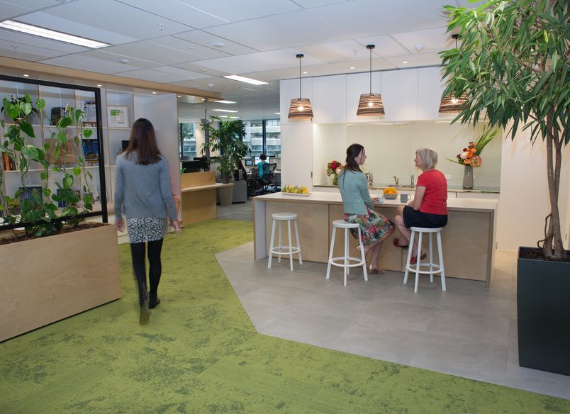 New Zealand Green Building Council Head Office