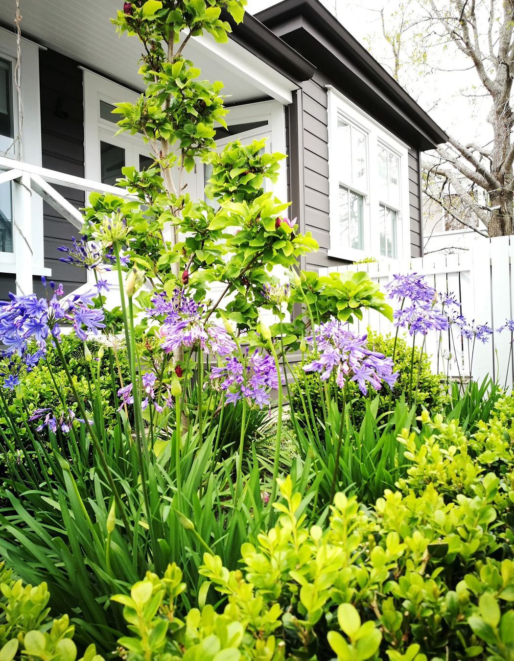Newmarket Garden