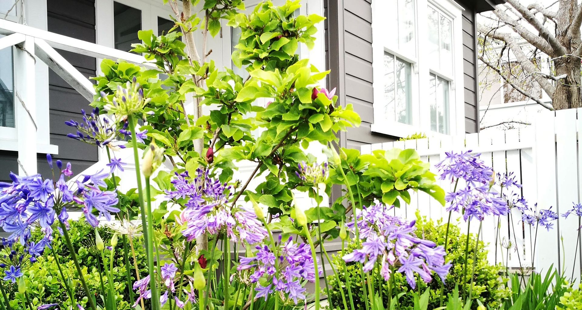 Newmarket Garden banner