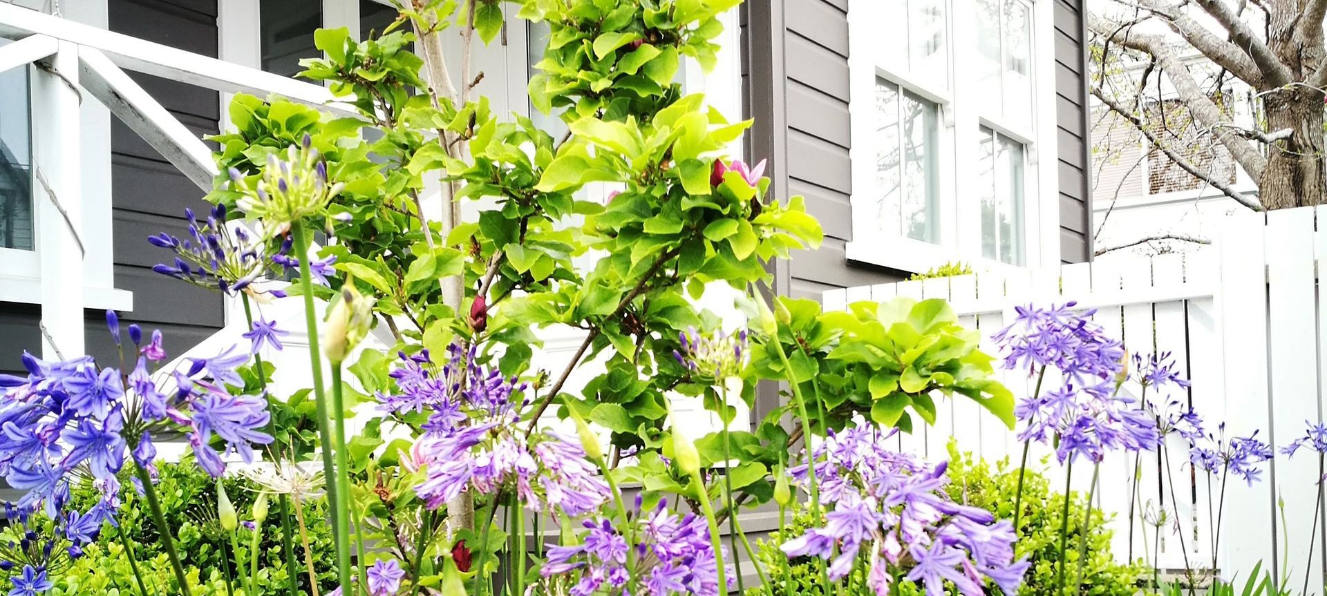 Newmarket Garden banner