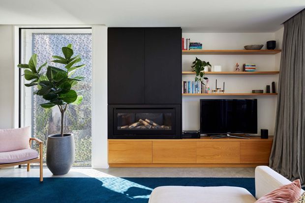 Contemporary living room with a black built-in fireplace and media wall, warm timber cabinetry, open timber shelving, a television, and floor-to-ceiling glazing with sheer patterned screening. A large indoor plant, blue carpet, pale upholstered seating, and full-height grey curtains complete the refined interior.
