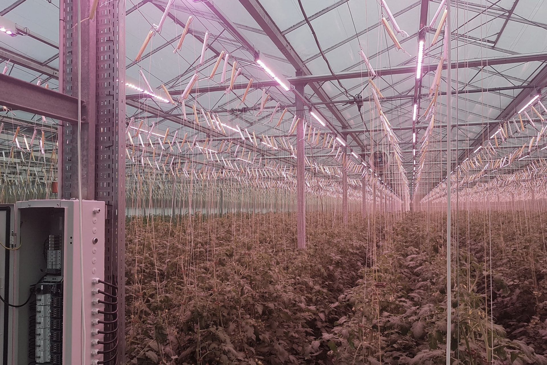 Oceans Electrical banner