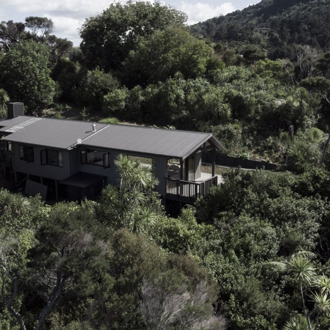 Modern Earth Homes