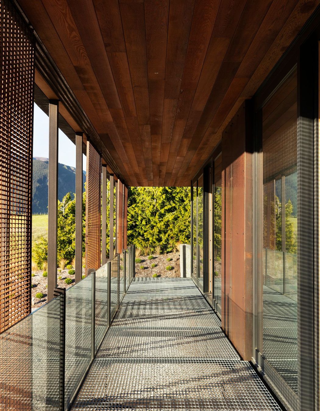 Steel and glazing in the veranda/walkway are softened by a cedar-clad soffit.