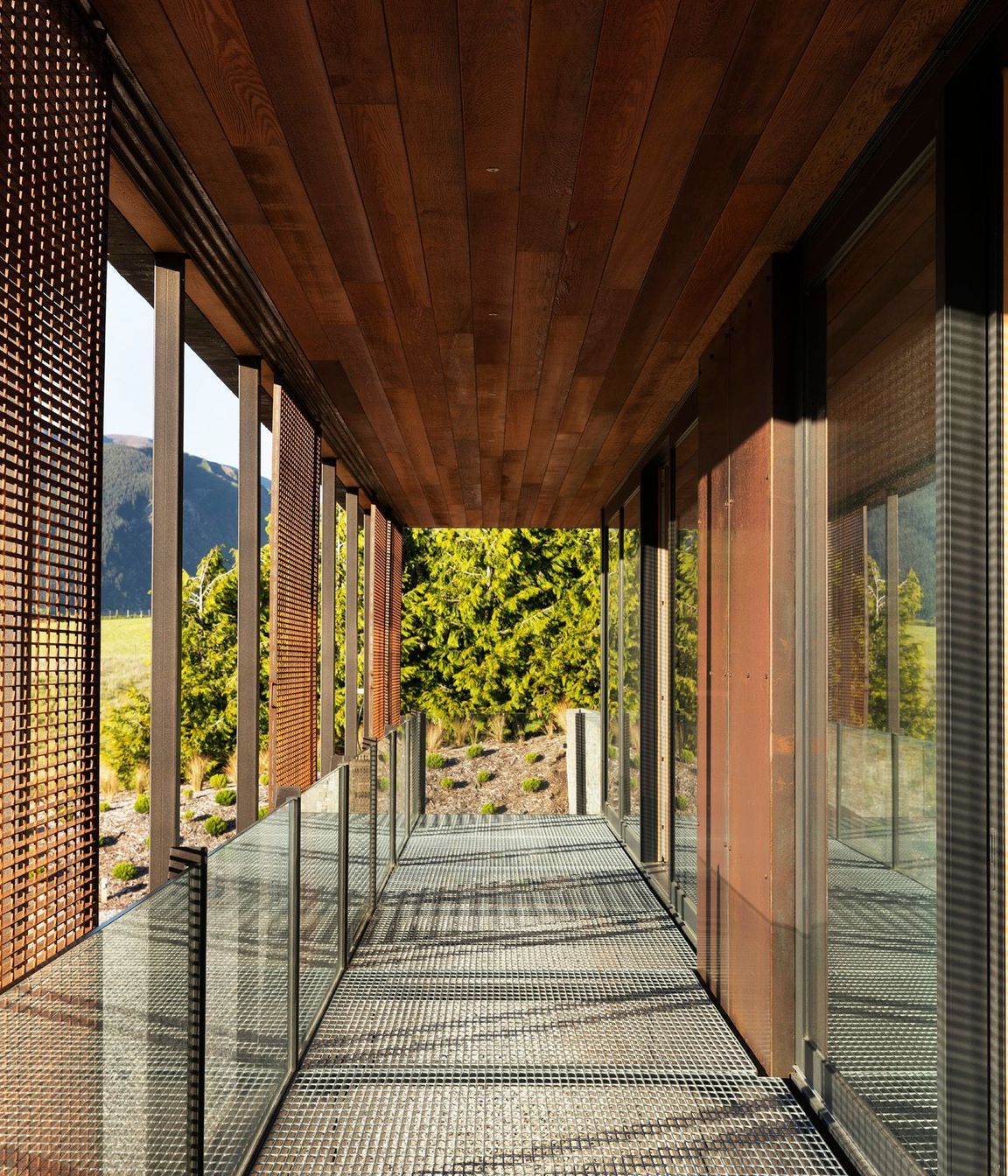 Steel and glazing in the veranda/walkway are softened by a cedar-clad soffit.