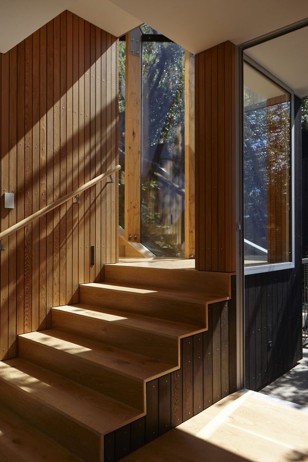 A warm, sunlit interior stairway with broad timber steps and matching vertical timber wall panelling. A simple timber handrail follows the stair, while tall glazed openings bring in views of trees and strong natural light. The stair has a sculptural stepped profile and dark-framed glazing, creating a refined contemporary architectural interior.