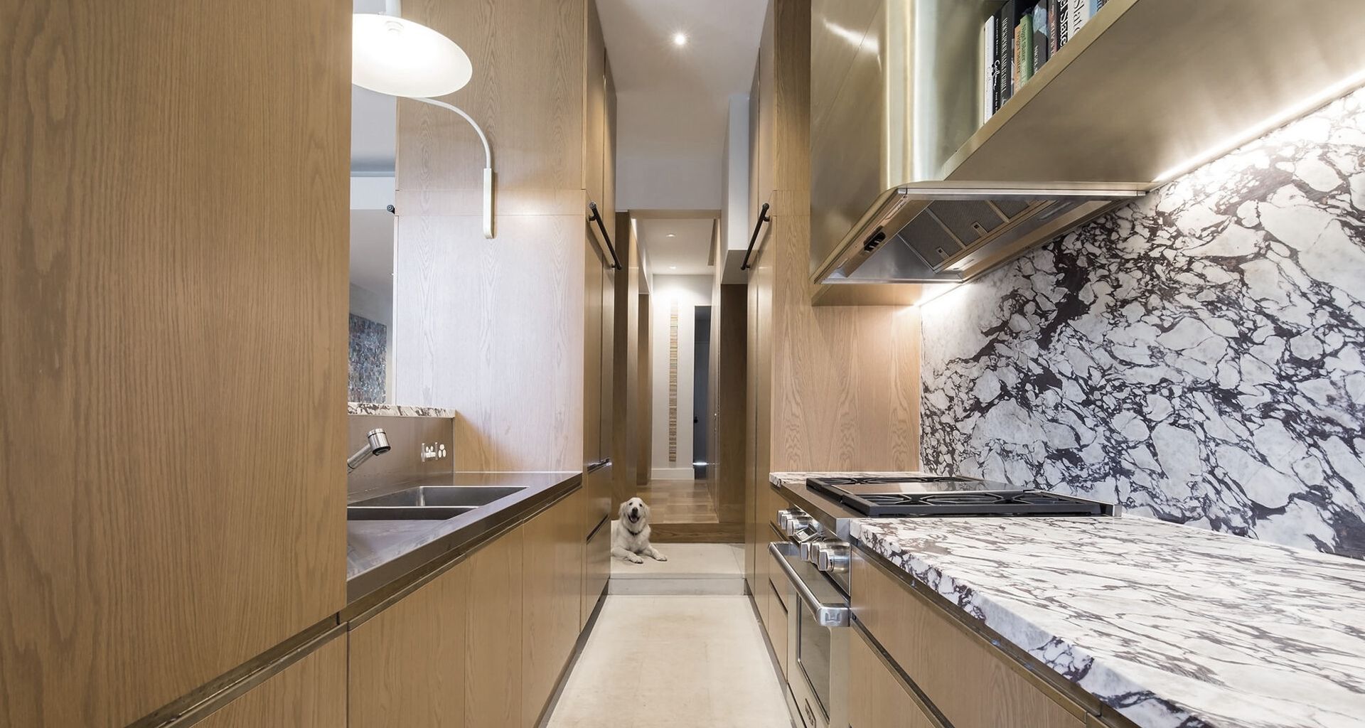 Opulent Terrace Home in Woollahra banner
