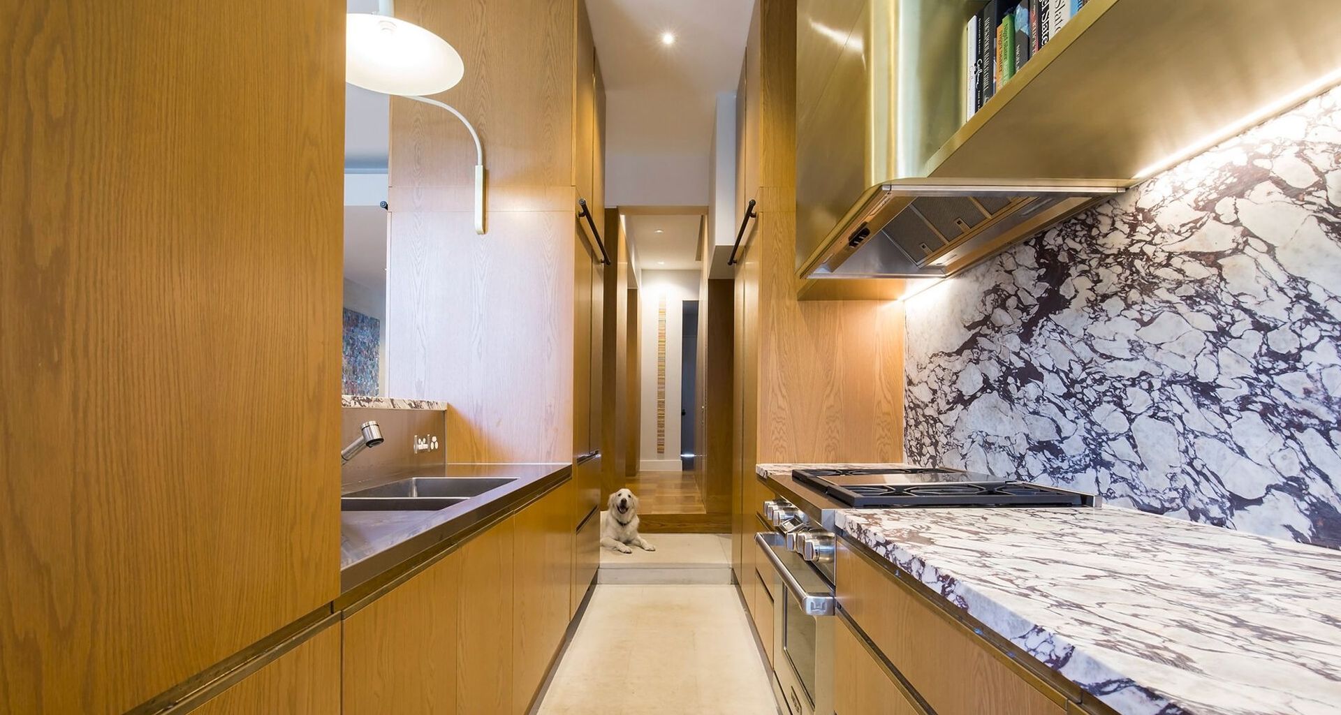 Opulent Terrace Home in Woollahra banner