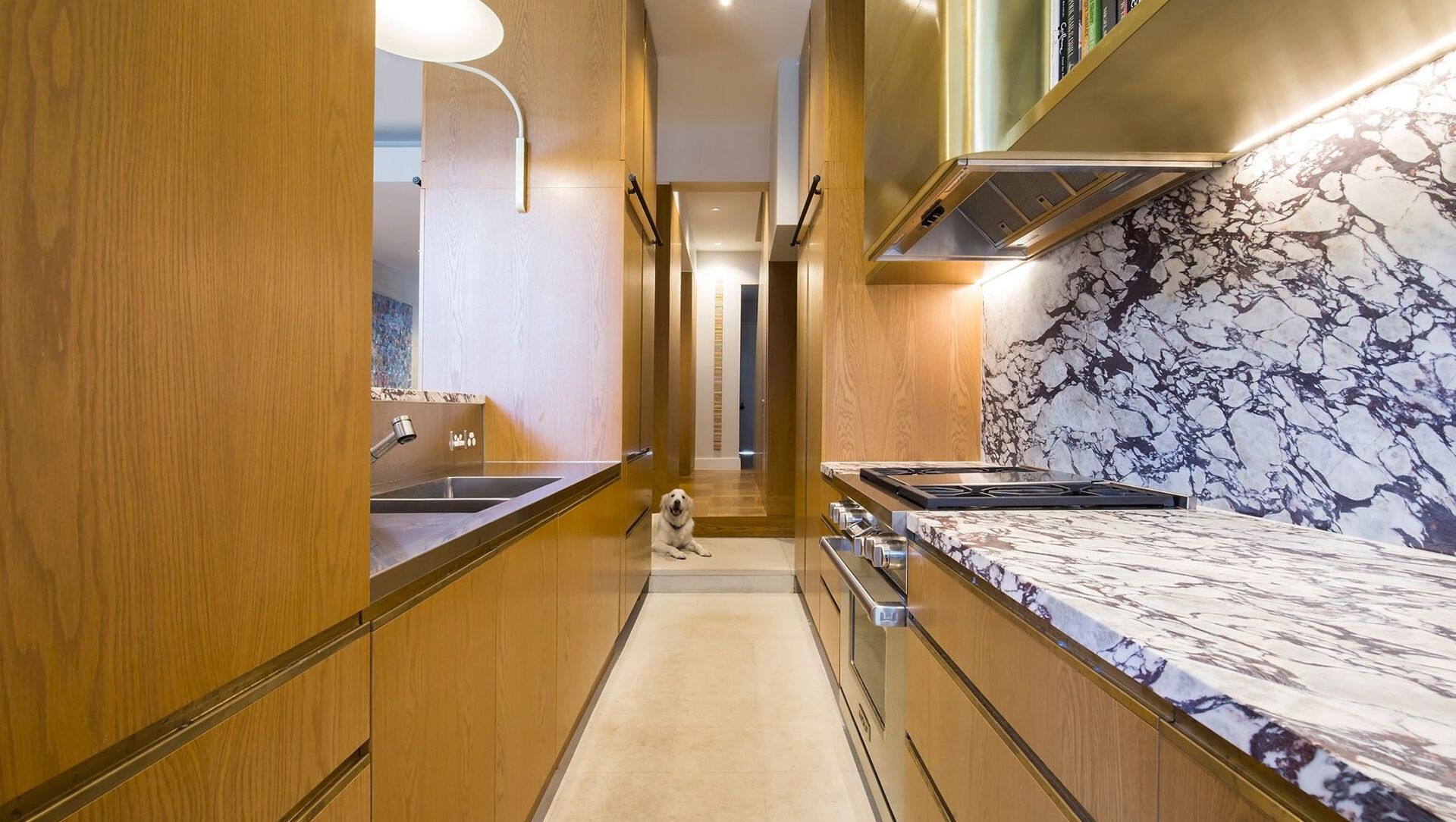 Opulent Terrace Home in Woollahra banner