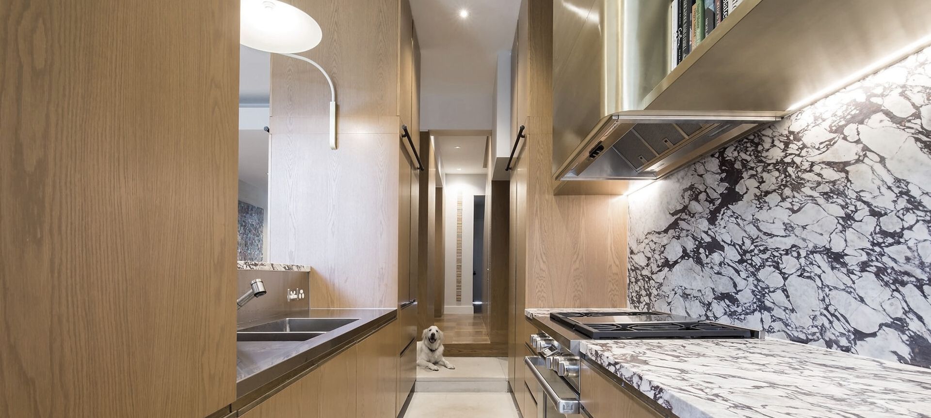 Opulent Terrace Home in Woollahra banner