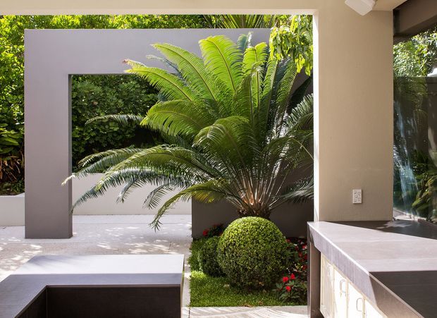 A contemporary indoor-outdoor transition space opening onto a lush courtyard garden. The image features a large geometric grey portal frame, tropical cycads, clipped spherical shrubs, red flowering accents, pale paving, and a built-in stone-topped counter or joinery element in the foreground. Strong glazing and clean rectilinear forms create a bright, refined connection between interior and landscape.