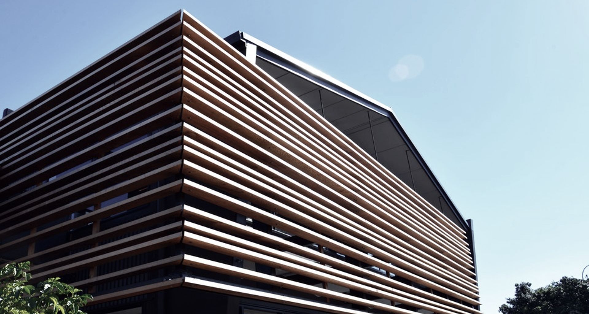Orewa Office banner