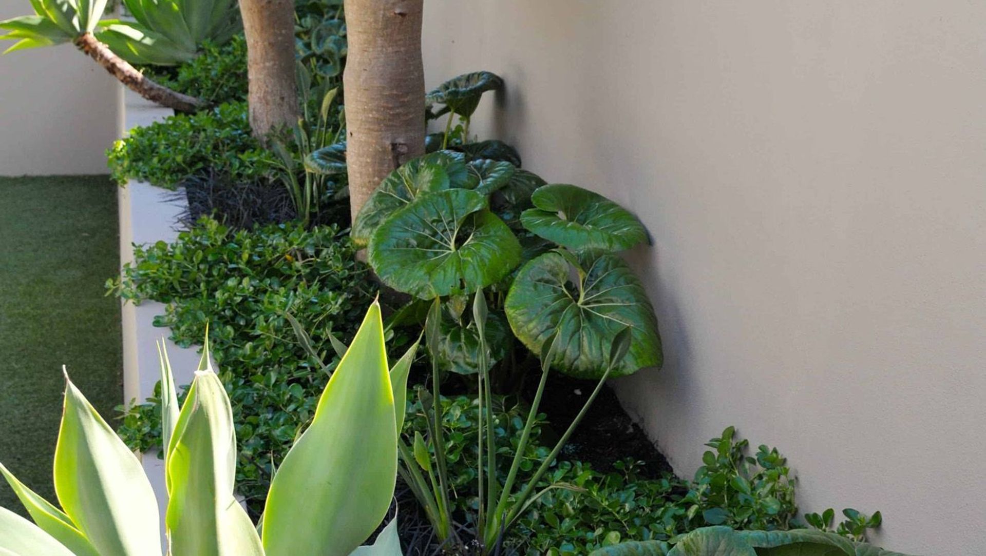 Outdoor Living banner