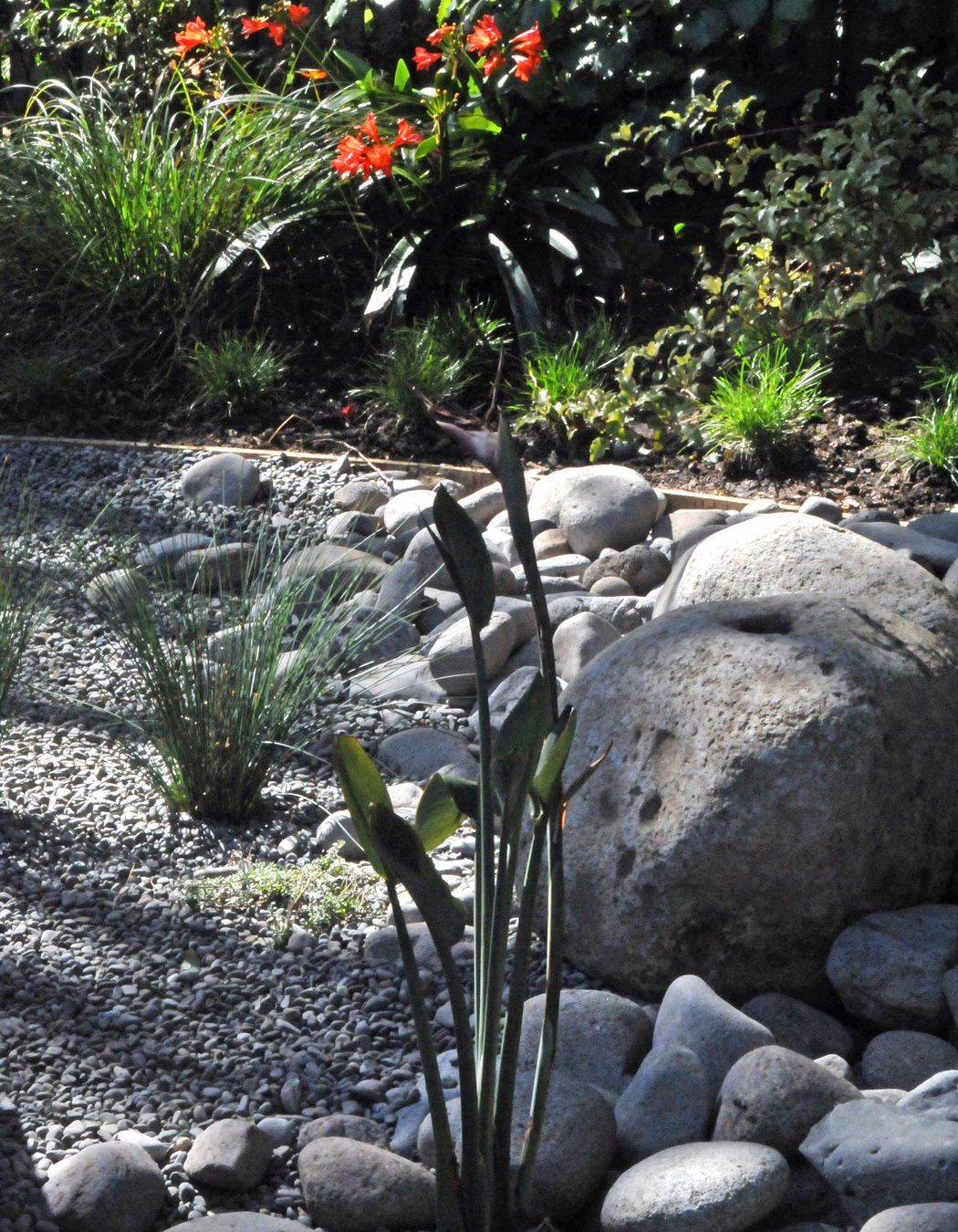 A rain garden was created to help detain and retain stormwater on site. It was surfaced with carefully graded boulders and pebbles.