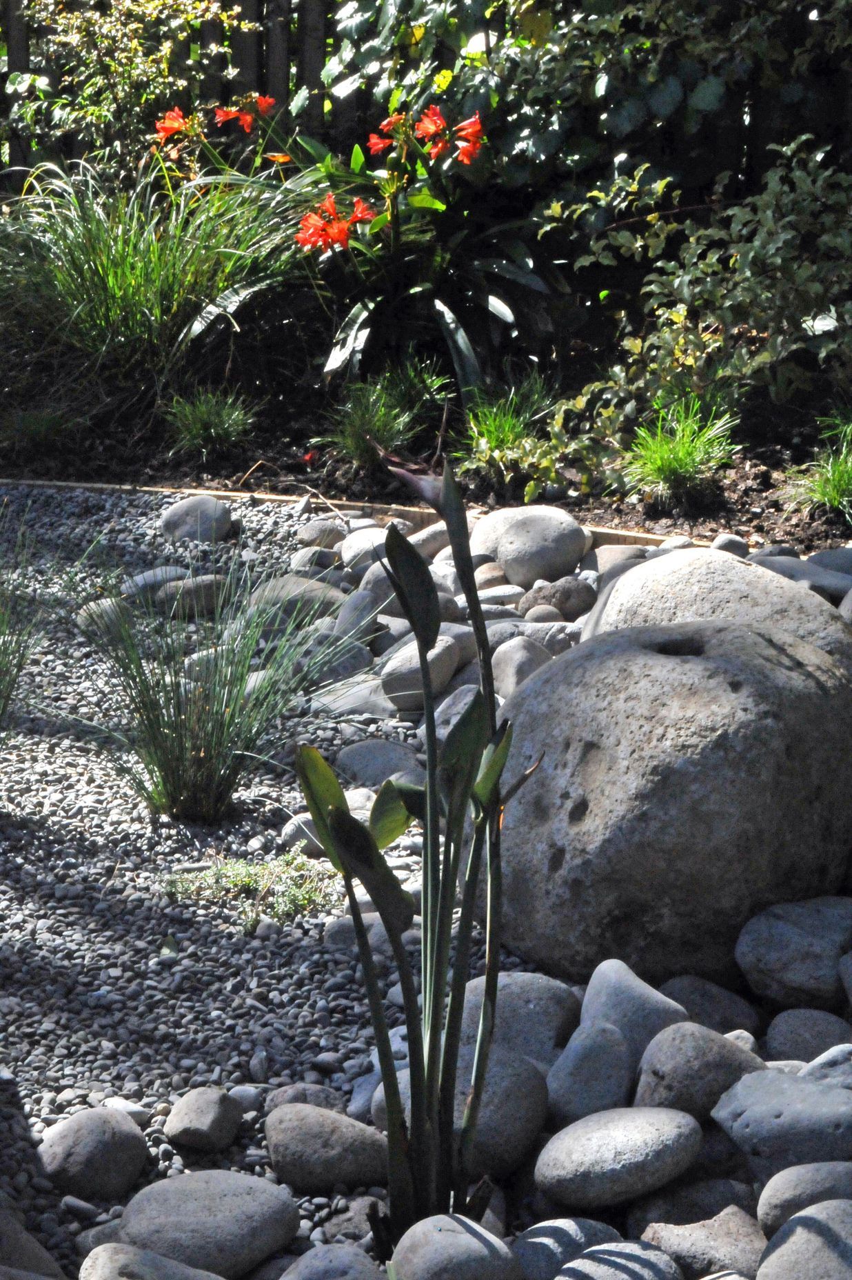 A rain garden was created to help detain and retain stormwater on site. It was surfaced with carefully graded boulders and pebbles.