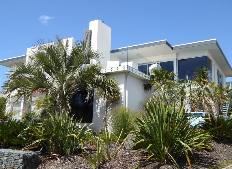 Palm Tree House