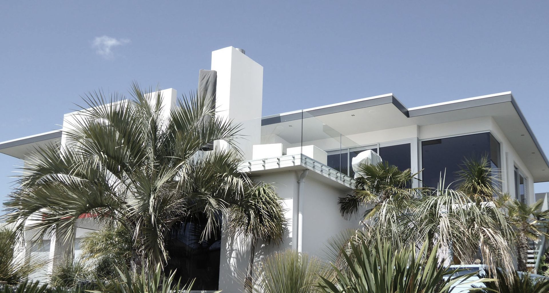 Palm Tree House banner