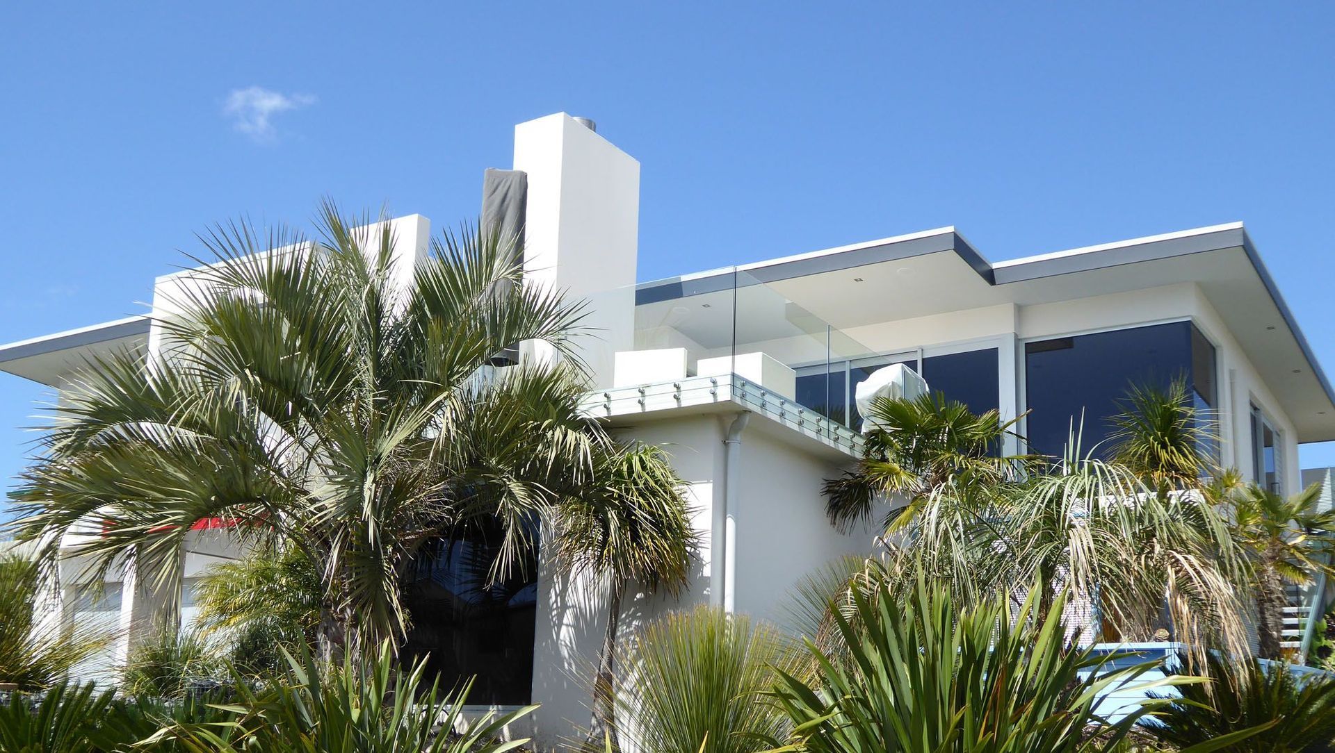 Palm Tree House banner