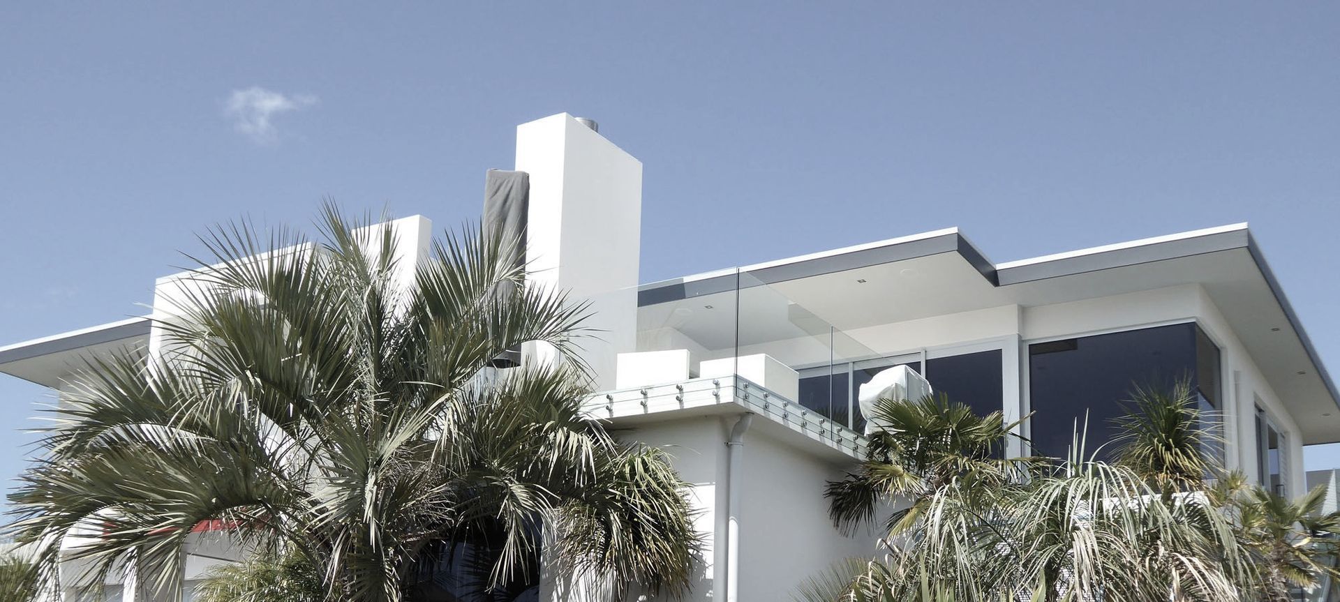 Palm Tree House banner