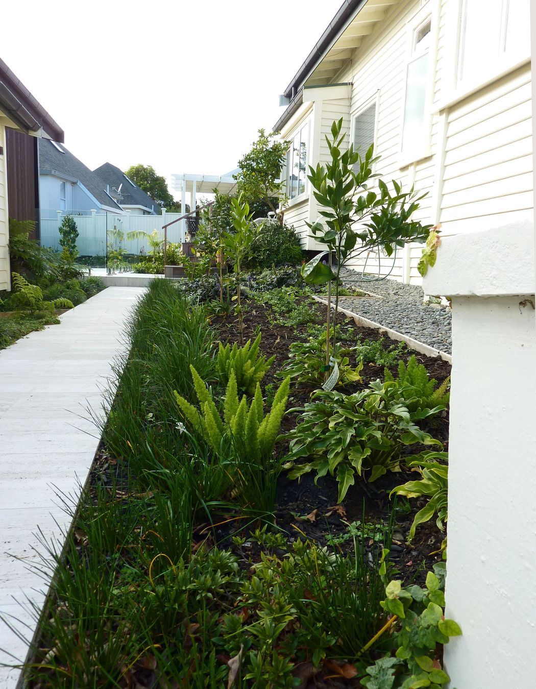Foliage textures are striking in spring.