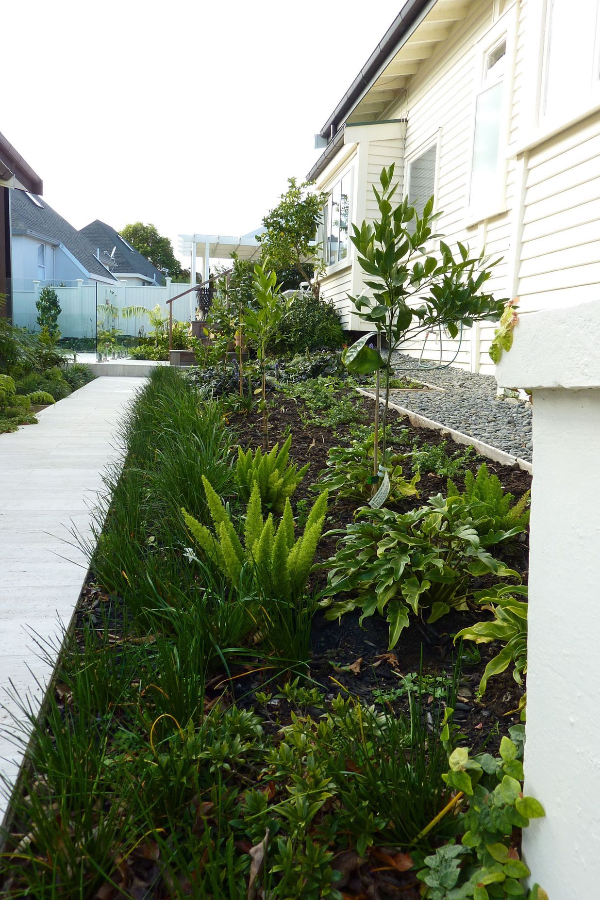 Foliage textures are striking in spring.