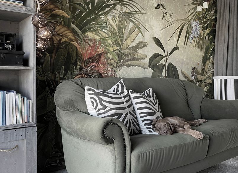 My Little Explorer | RIVERHEAD