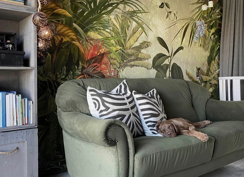 My Little Explorer | RIVERHEAD