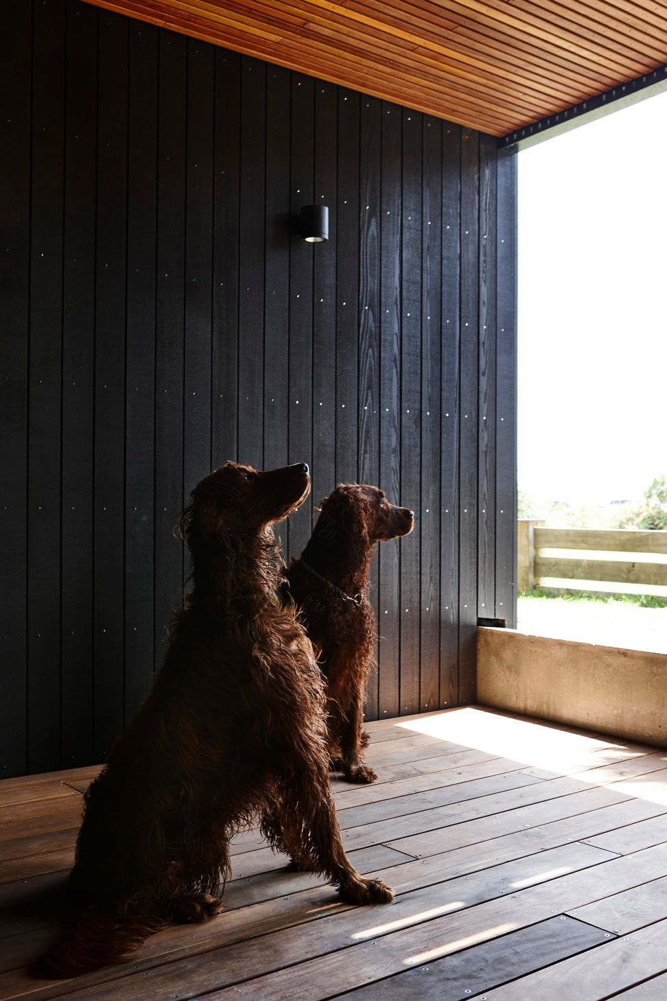 Timber three ways sets up an interesting visual dichotomy.