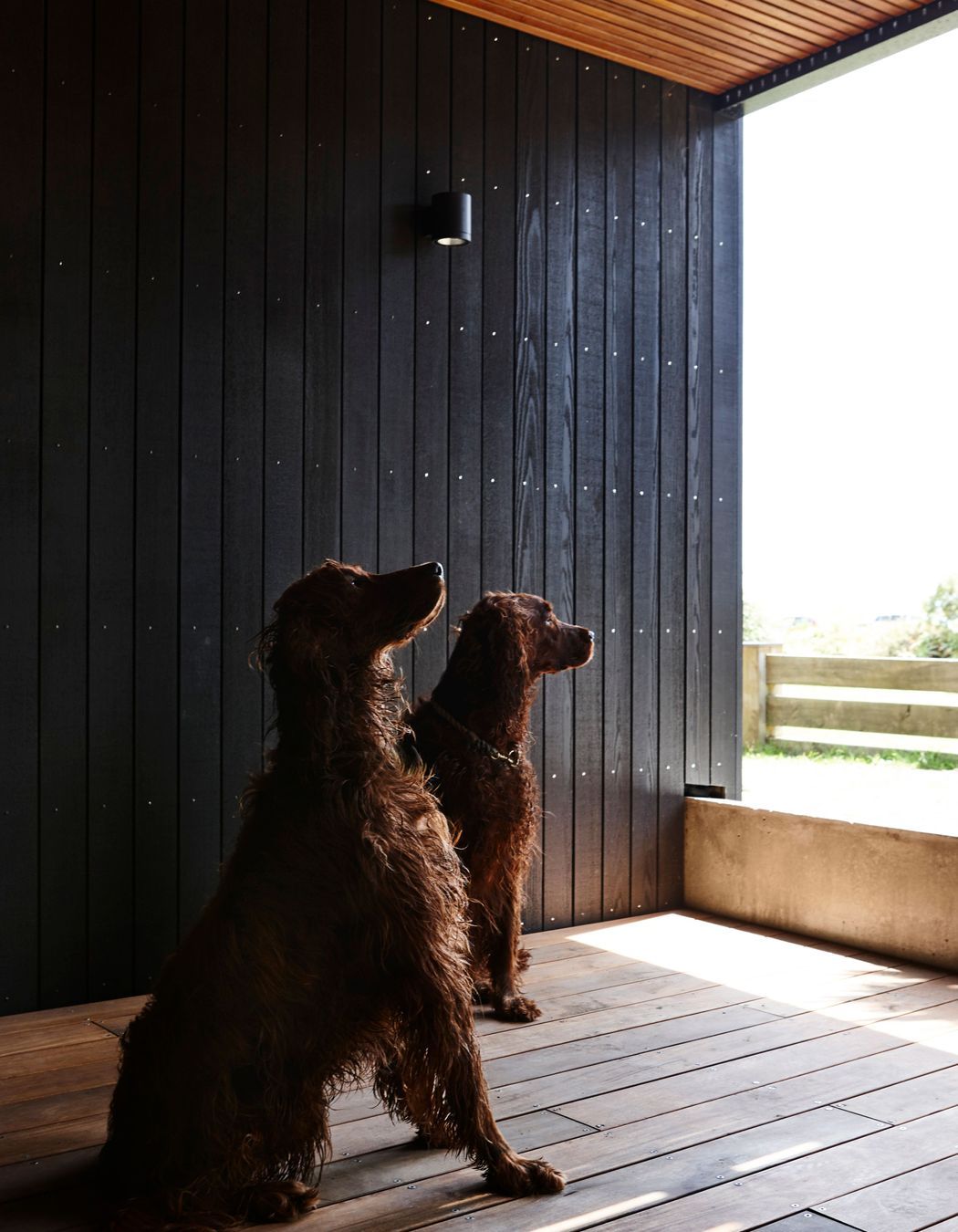 Timber three ways sets up an interesting visual dichotomy.