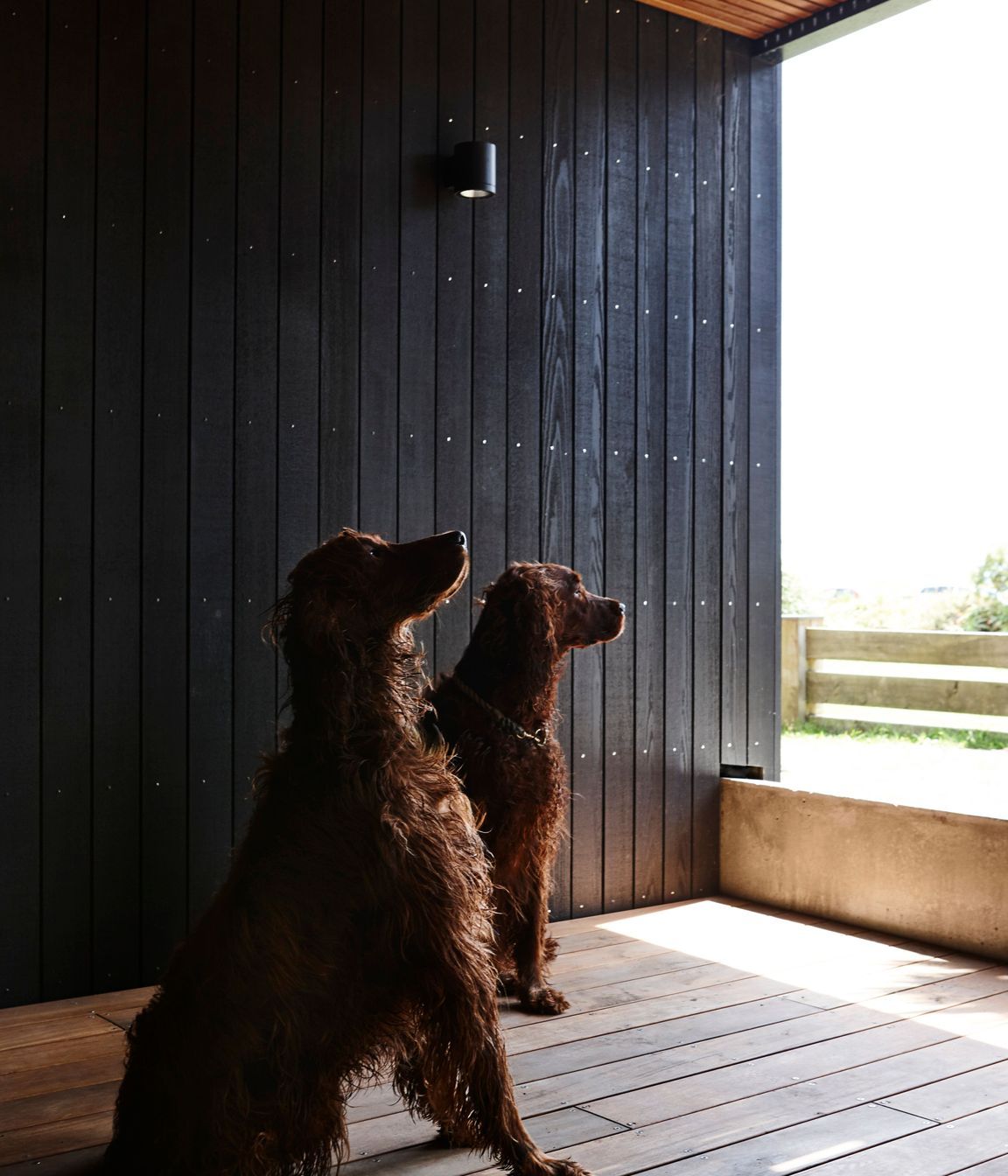 Timber three ways sets up an interesting visual dichotomy.