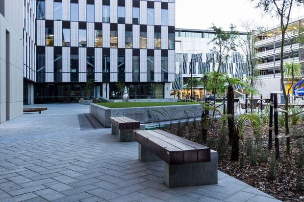A contemporary urban courtyard or campus plaza with a paved pedestrian forecourt, integrated timber-and-concrete benches, raised landscaped planting beds, and young palm trees. Surrounding multi-storey buildings feature highly regular black-and-white glazed facades and modern commercial or institutional architecture.