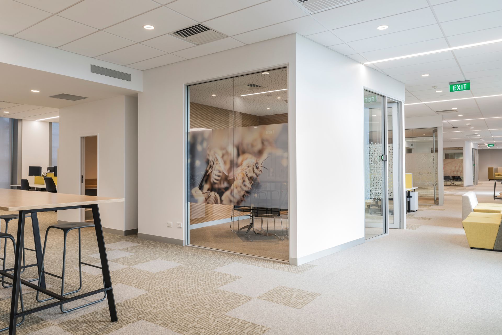 New circulation boulevard