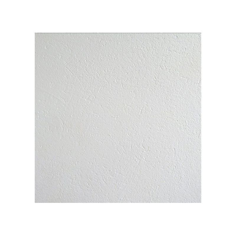 Plaster Painter Brick