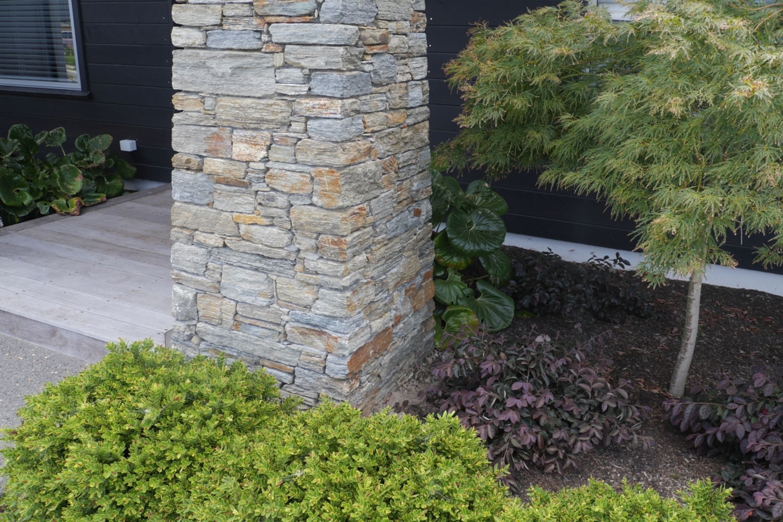 Poolburn Brown Schist
