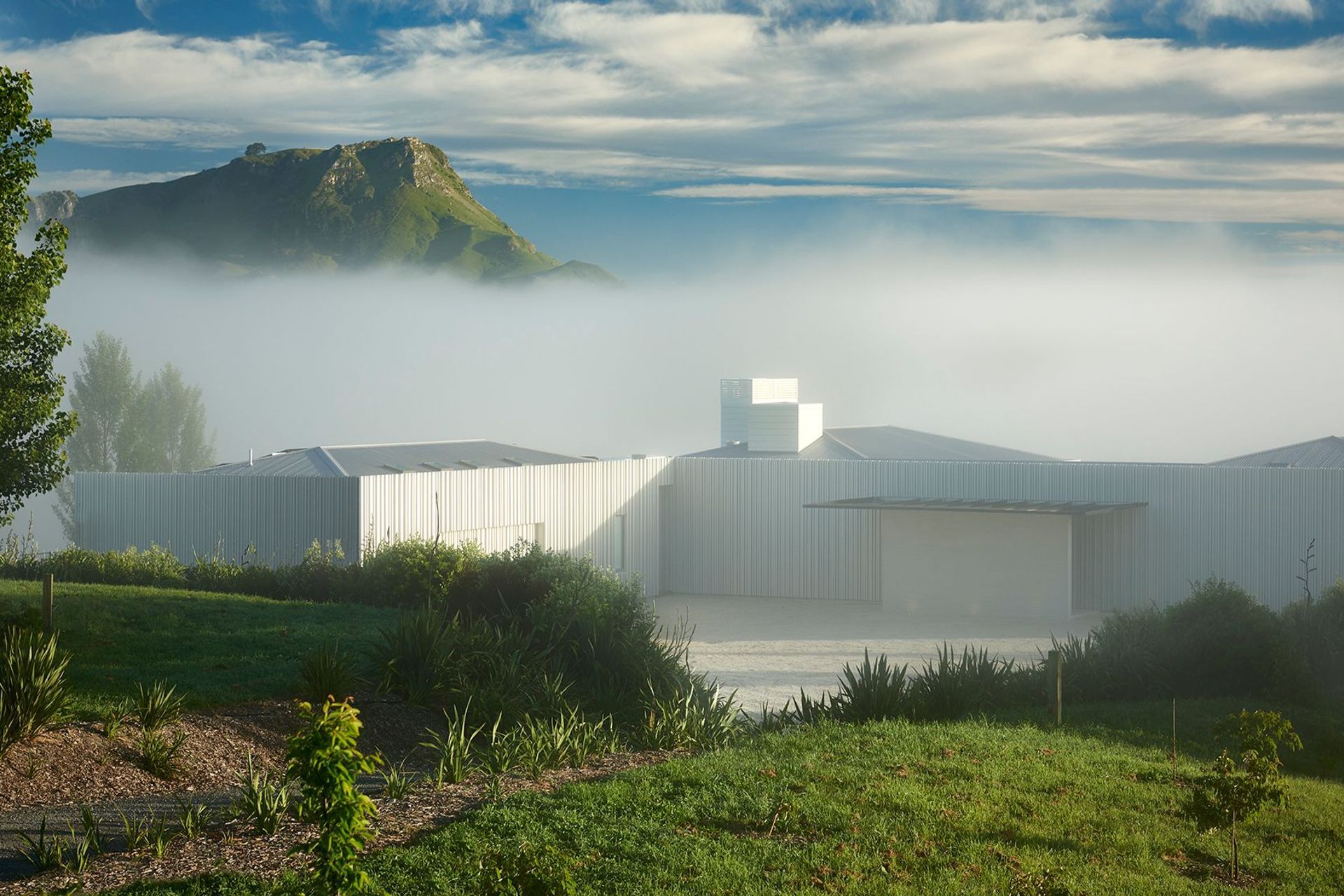 Te Mata Peak and a blanket of mist rise up behind Poplars 7's white form, a mid-century modern-inspired home located with the Hawkes Bay's Tukituki Valley. Photograph by Brian Culy.
