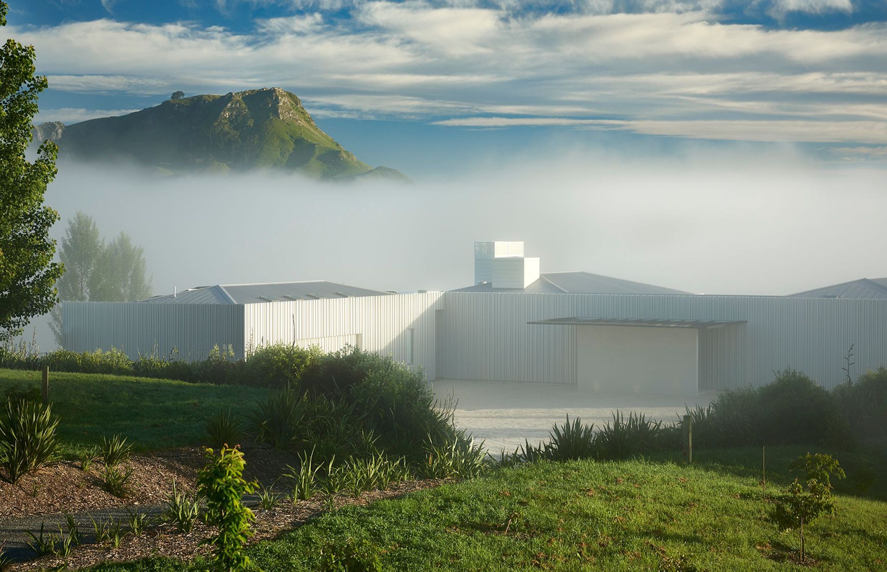 Te Mata Peak and a blanket of mist rise up behind Poplars 7's white form, a mid-century modern-inspired home located with the Hawkes Bay's Tukituki Valley. Photograph by Brian Culy.