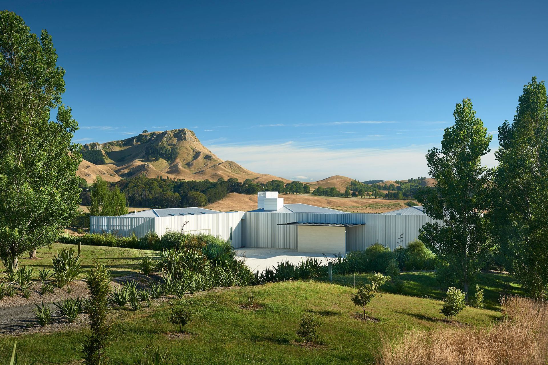 Poplar 7's contemporary white-painted cedar cladding makes the home a distinctive landmark within its Tukituki Valley setting.
