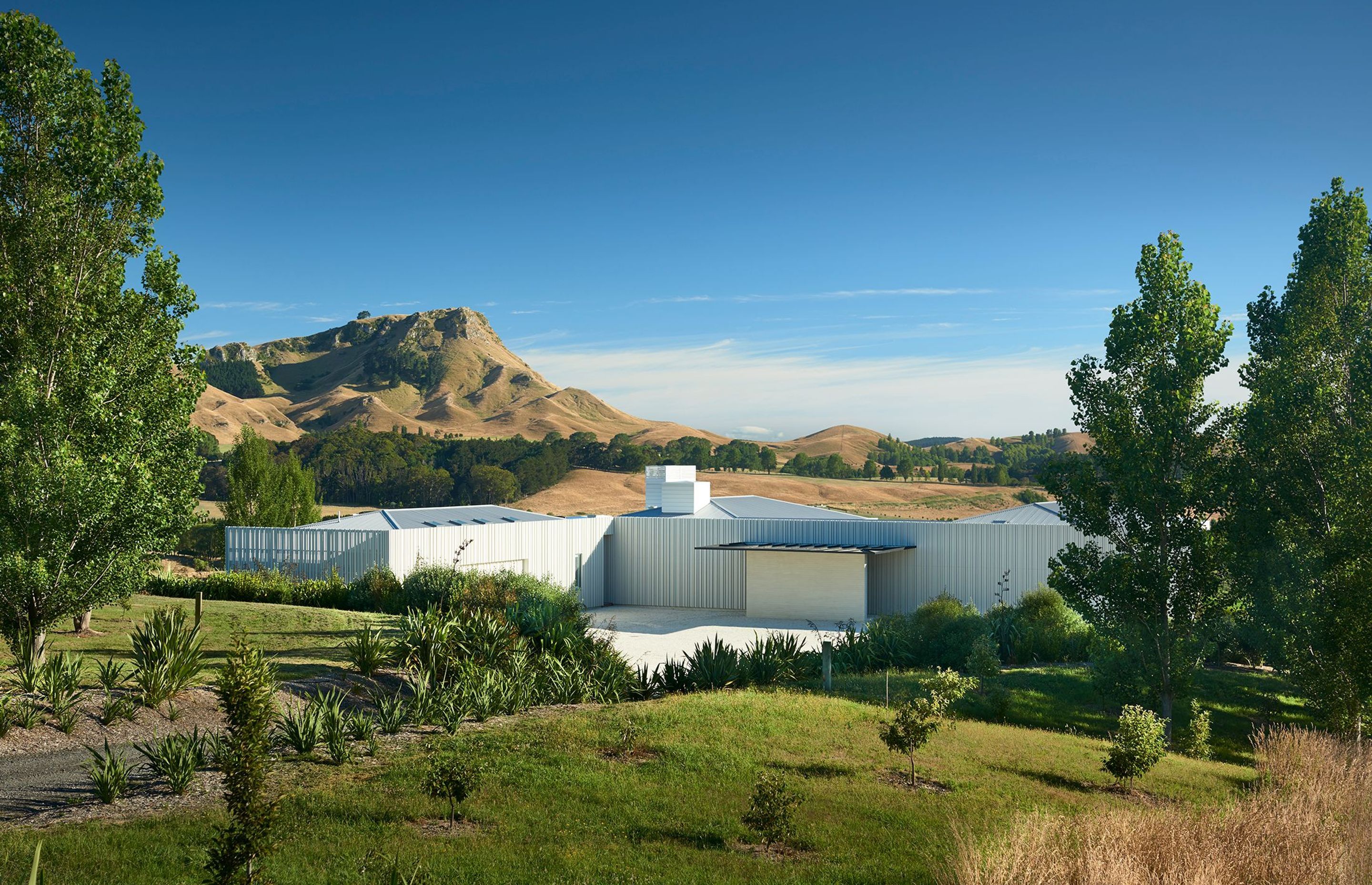 Poplar 7's contemporary white-painted cedar cladding makes the home a distinctive landmark within its Tukituki Valley setting.