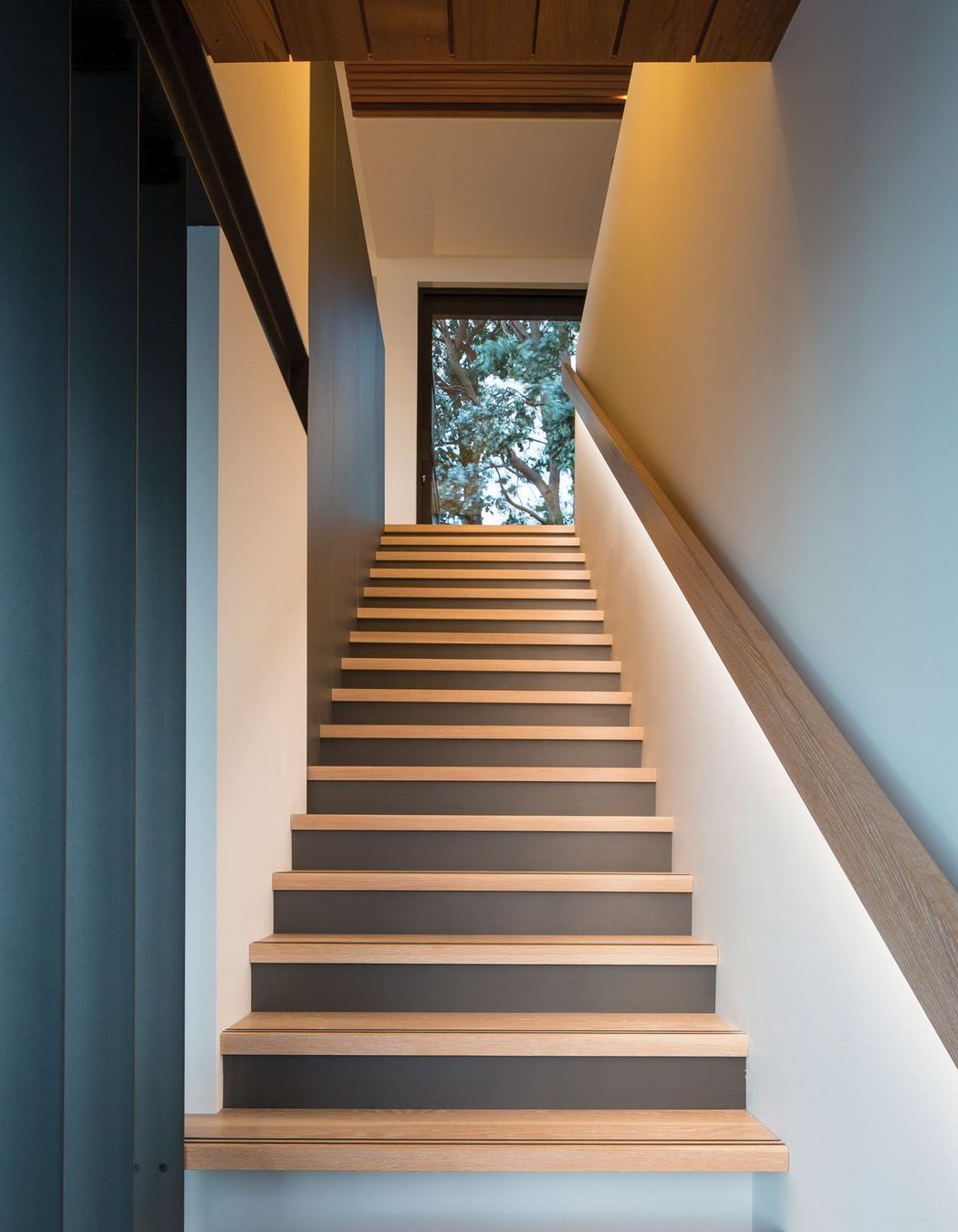 Looking up the staircase towards the celebratory silver dollar gum tree.