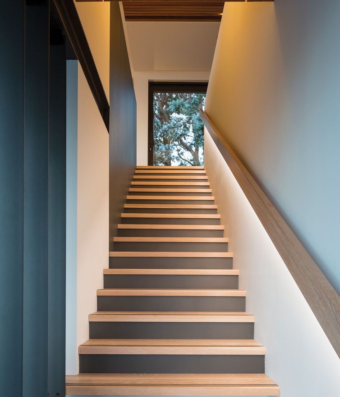 Looking up the staircase towards the celebratory silver dollar gum tree.