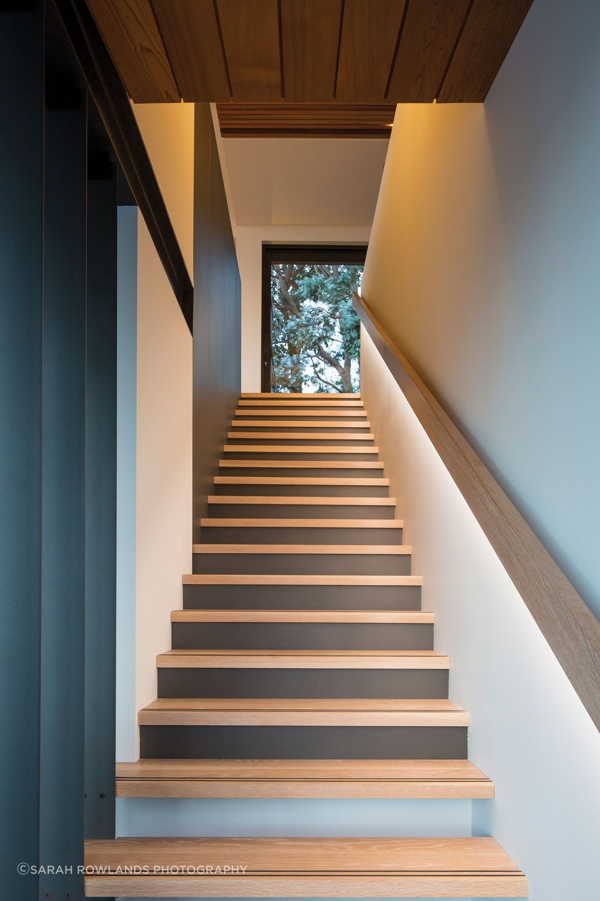 Looking up the staircase towards the celebratory silver dollar gum tree.