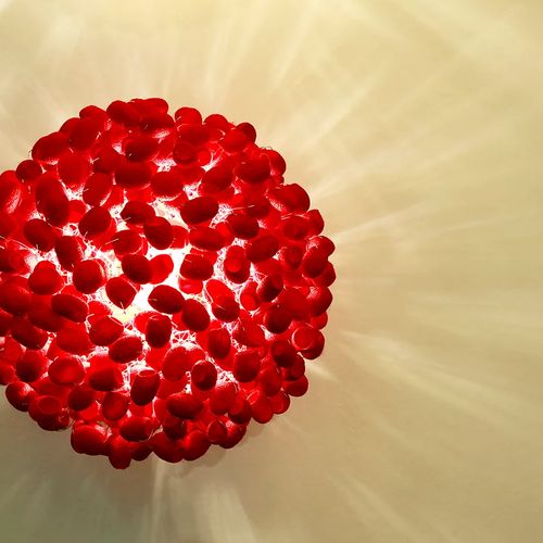 RED UNIT WALL C Wall Lamp by Ango