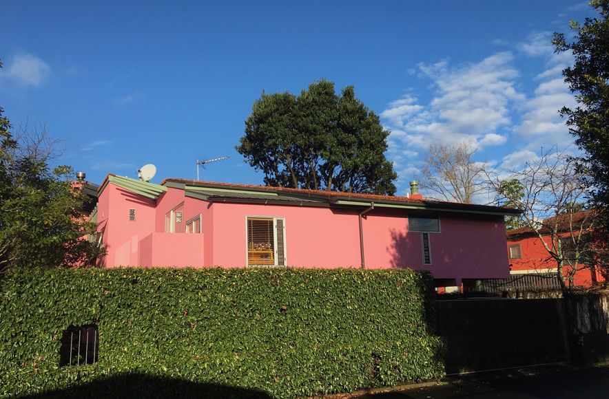 Red & Pink House